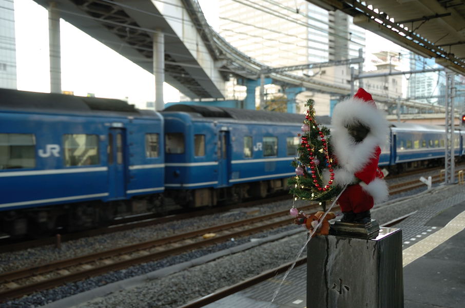20081206_DSC_2383.jpg