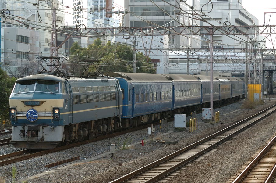 20081223_DSC_2631.jpg