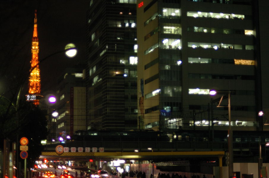 20081229_DSC_0030.jpg