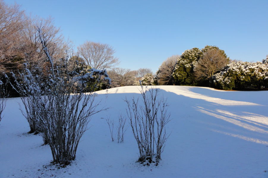 20120124_DSC01601.jpg