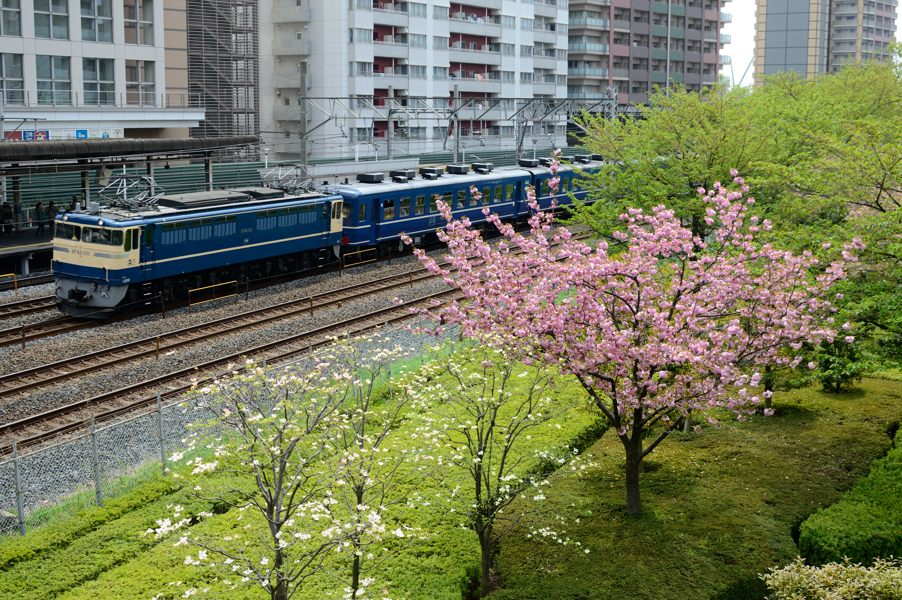 20120425_DSC_0553.jpg