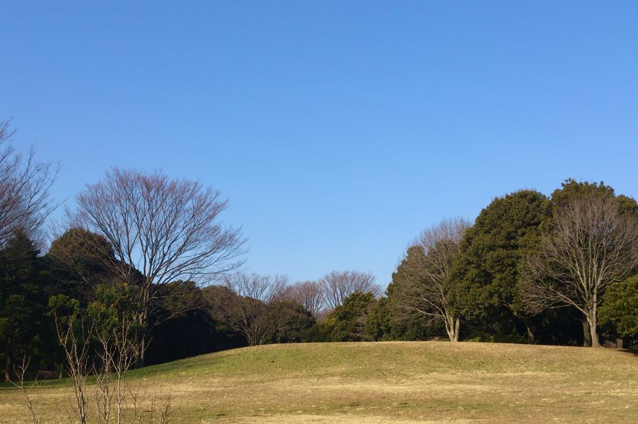 20130102_DSC_0004.jpg