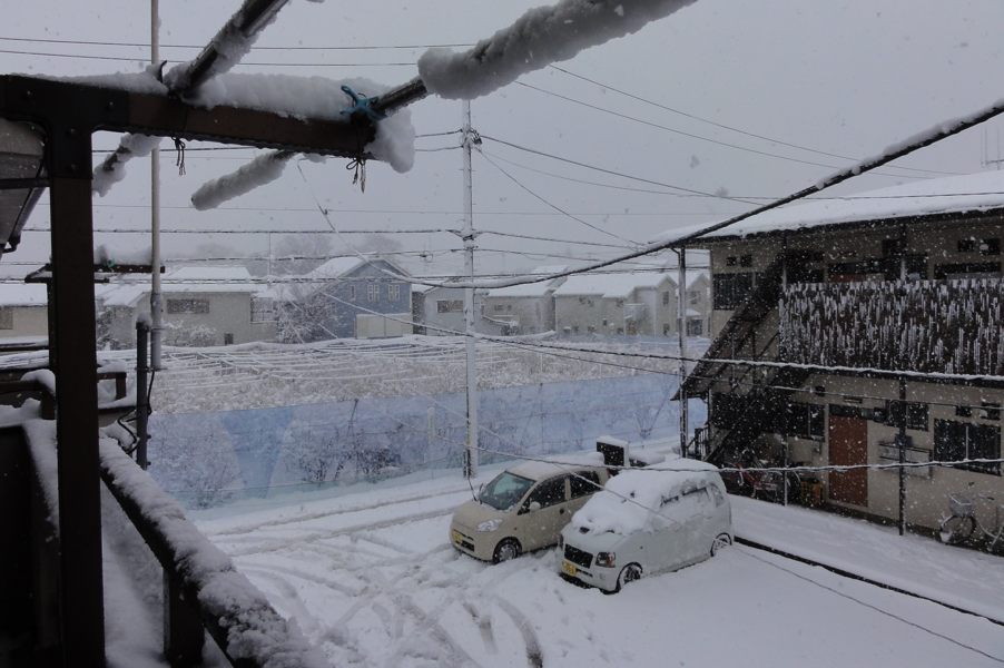 20130114_DSC02869.jpg