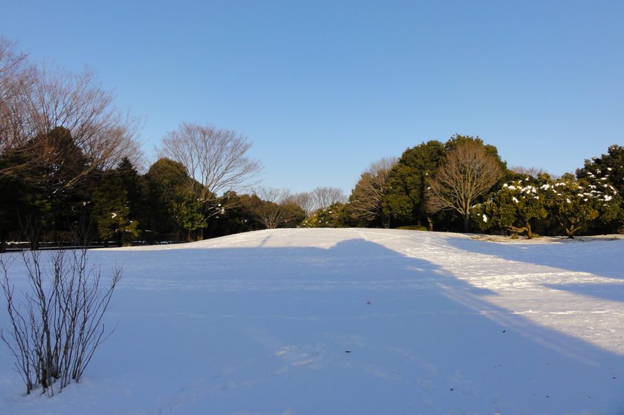 20130115_DSC02872.jpg