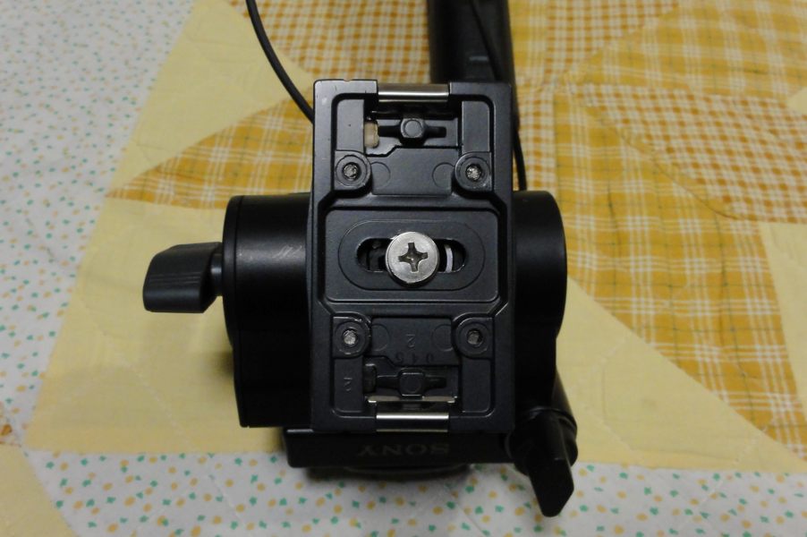 20130211_DSC03167.jpg