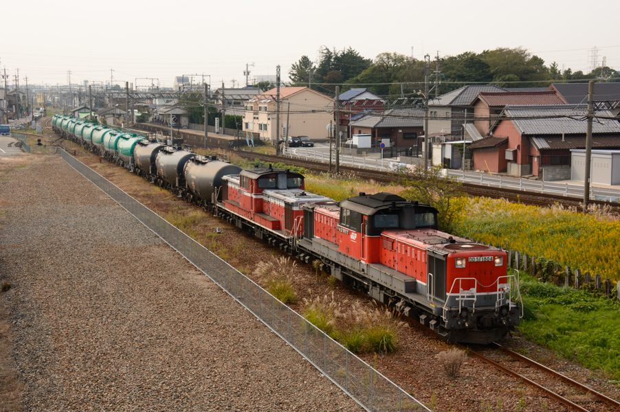 20131102_DSC_0238.jpg