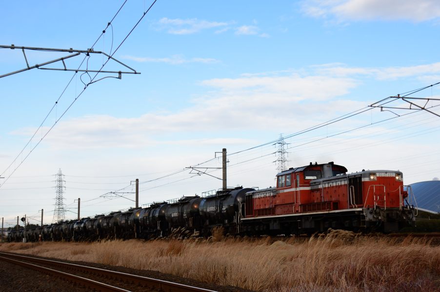 20131221_DSC_0563.jpg