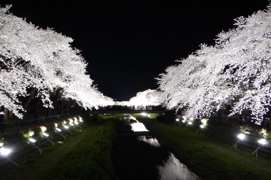 20140404_DSCN0589.jpg