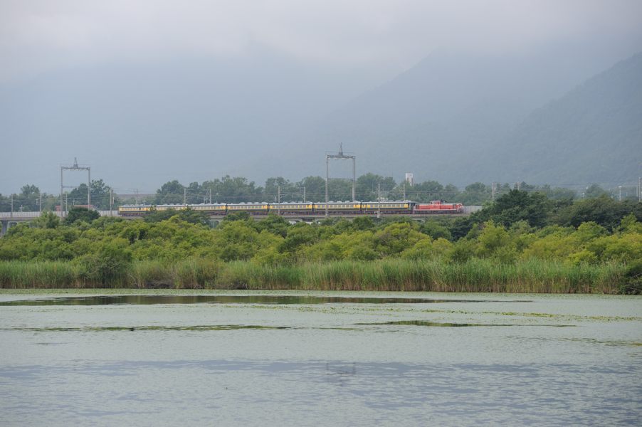 20140720_DSC_1469.jpg