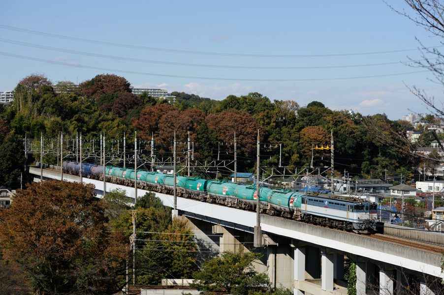 20141115_DSC_2477.jpg