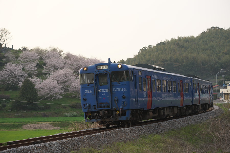 20180331_DSC_4180.jpg