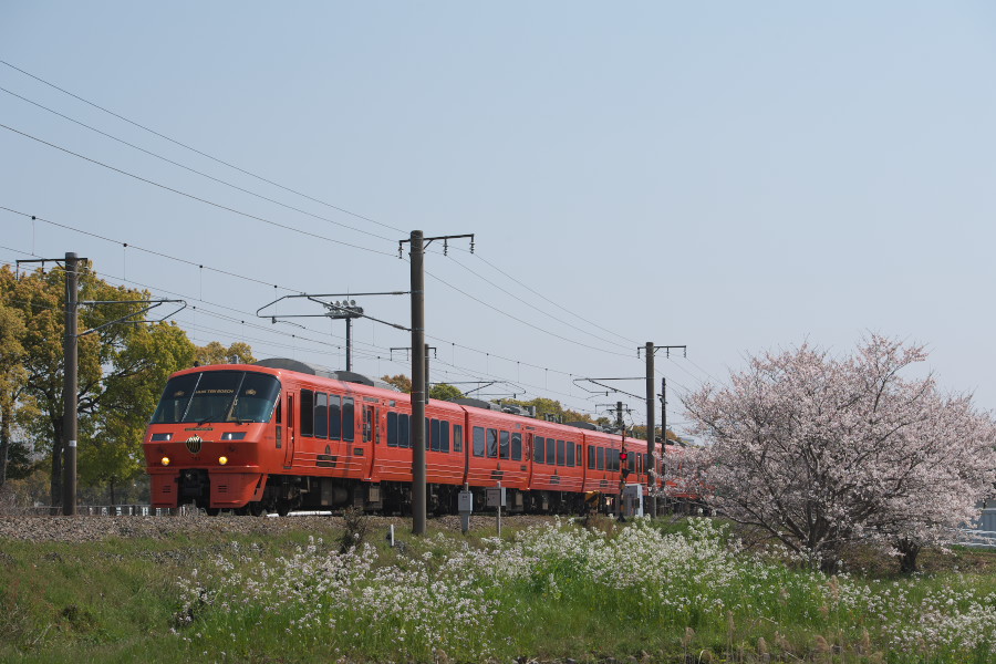 20190406_DSC_8204.jpg