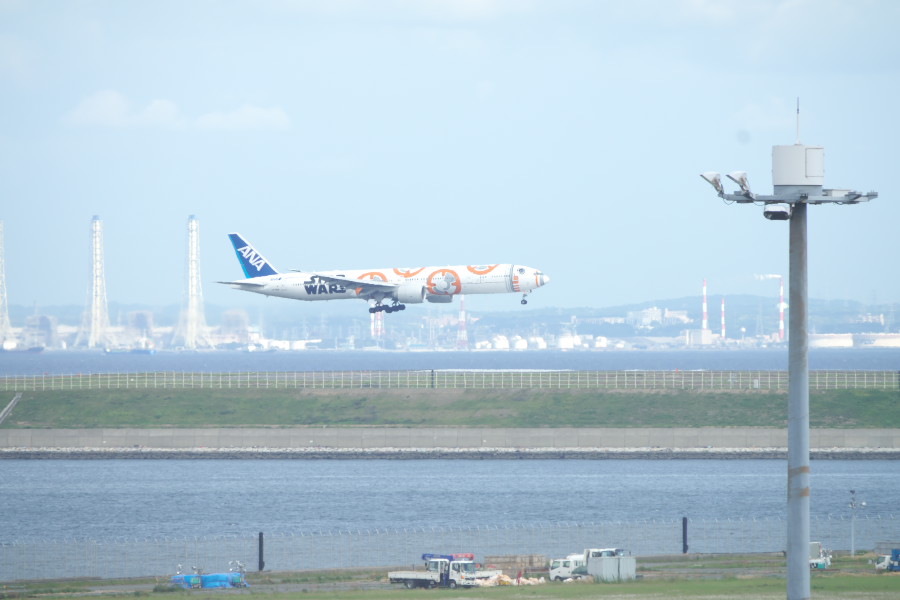 20190506_DSC06968.jpg