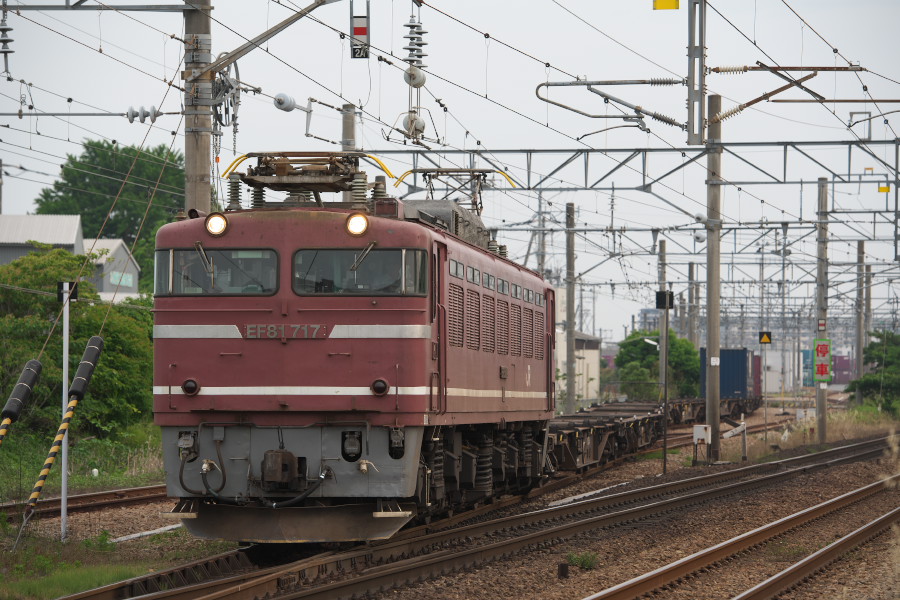 20190526_DSC_9490.jpg