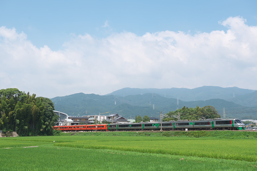 20190817_DSC_0916.jpg